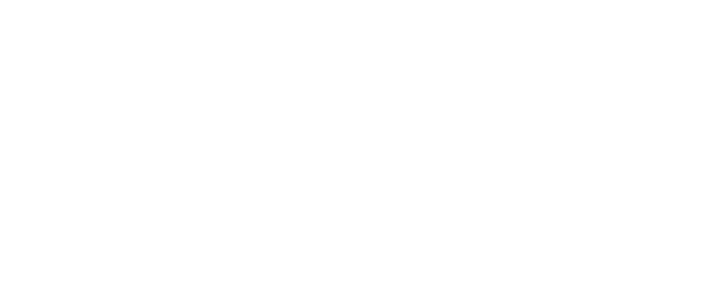 Google Partner